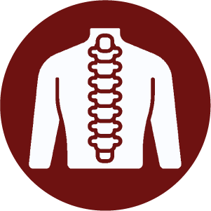 1744781977_Spine Icon.png